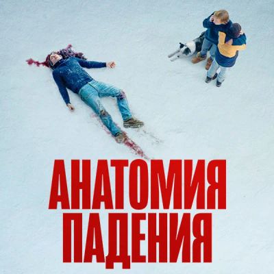 Лот: 24290562. Фото: 1. Анатомия падения. Видеозаписи, фильмы