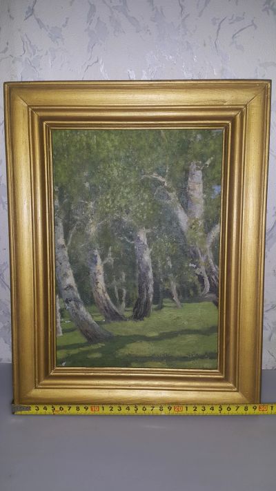 Лот: 16768194. Фото: 1. Картина маслом березы. Картины, рисунки