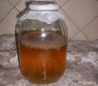 Лот: 20923286. Фото: 1. Чайный гриб. Продам. Приезжайте... Напитки