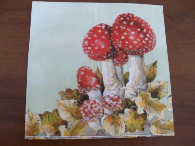 Лот: 3922091. Фото: 1. Салфетка для декупажа №46. Декупаж