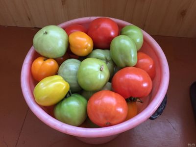 Лот: 18016930. Фото: 1. Помидоры. Разные. Вкусные. Овощи, фрукты, зелень