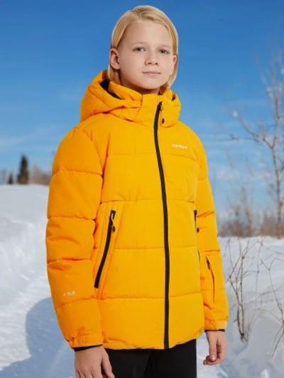 Лот: 22420958. Фото: 1. Пуховик для мальчиков IcePeak... Легкие куртки, толстовки