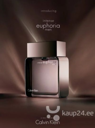 Лот: 18656260. Фото: 1. Calvin Klein Euphoria Men 100мл. Мужская парфюмерия