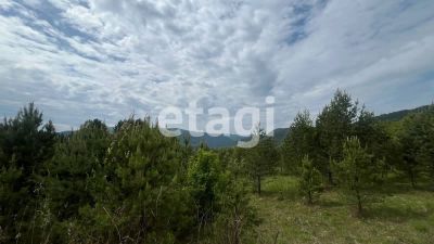 Лот: 25293056. Фото: 1. участок , посёлок Манский посёлок... Земельные участки