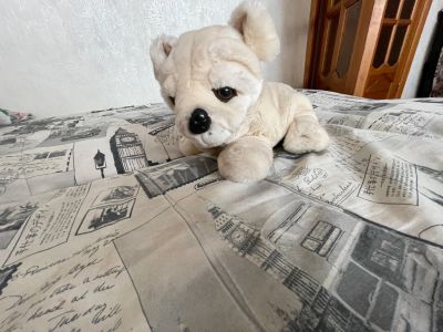 Лот: 17438423. Фото: 1. Игрушка собака. Мягкие