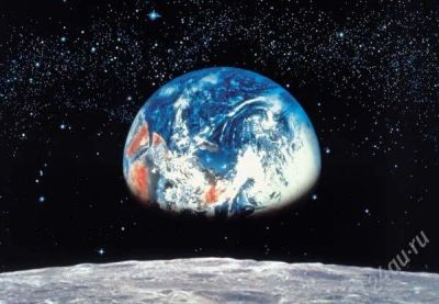 Лот: 867463. Фото: 1. Фотообои Komar Earth/Moon 388... Обои, панели, ДВП, ДСП, МДФ