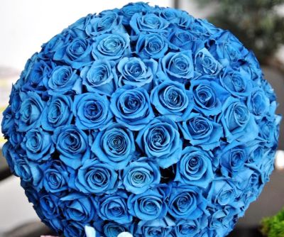 Лот: 8730398. Фото: 1. Синие розы. Свежие цветы