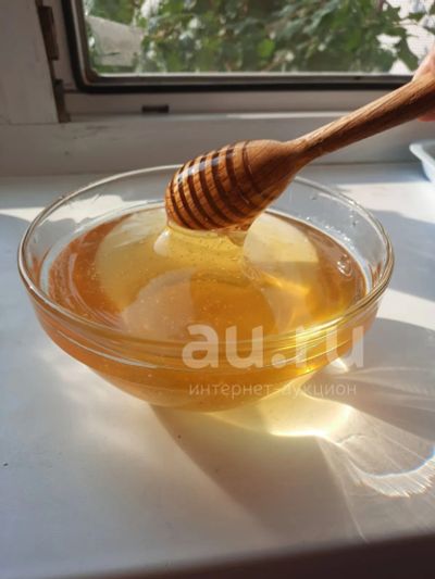 Лот: 20684693. Фото: 1. Мёд. Мёд, продукты пчеловодства
