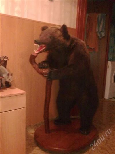 Лот: 769323. Фото: 1. чучело медведя. Другое (охота)