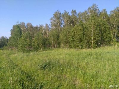 Лот: 13462750. Фото: 1. участок. Земельные участки