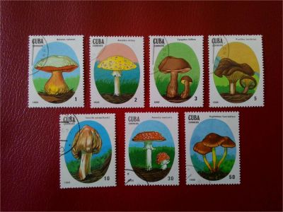 Лот: 11436002. Фото: 1. 1988. Куба. Грибы. Полная серия... Марки
