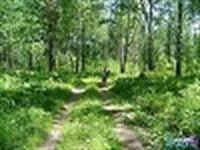 Лот: 1702565. Фото: 1. земельный участок от собственника. Земельные участки