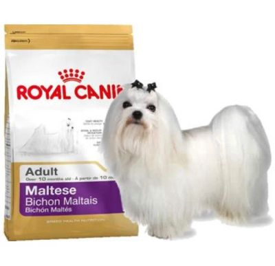 Лот: 6801759. Фото: 1. Royal Canin Роял Канин Мальтийская... Корма
