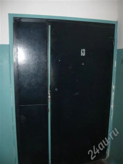 Лот: 573817. Фото: 1. Железная дверь. Двери входные