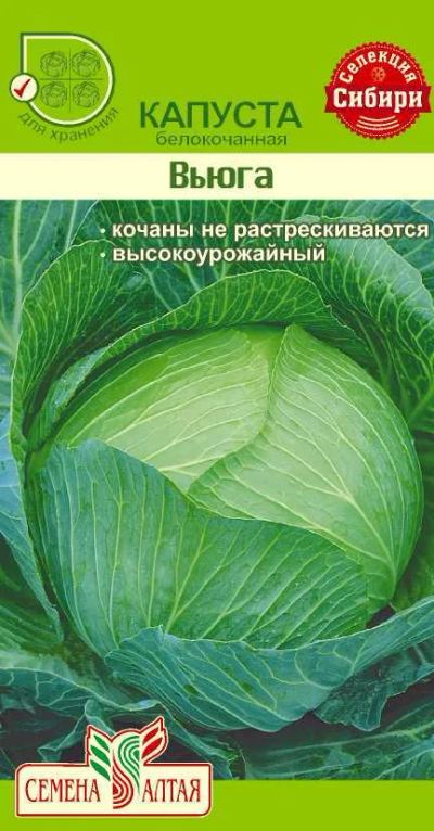 Лот: 11016952. Фото: 1. Семена капусты белокочанной "Вьюга... Овощи