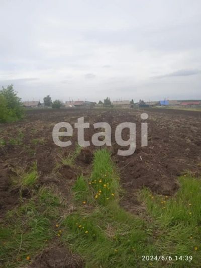 Лот: 25289854. Фото: 1. участок , село Шуваево село Шуваево... Земельные участки