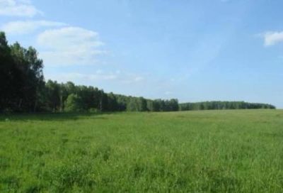 Лот: 7762213. Фото: 1. участок. Земельные участки