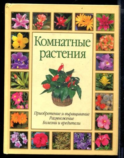 Лот: 23430006. Фото: 1. Комнатные растения | Мини-энциклопедия... Сад, огород, цветы