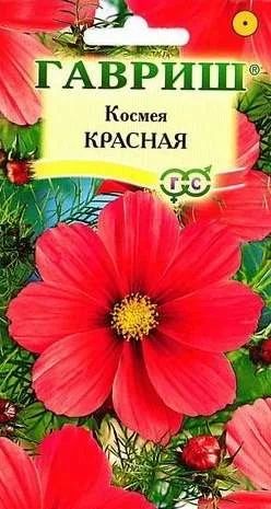 Лот: 11025142. Фото: 1. Космея Красная 0,3 г. Садовые цветы