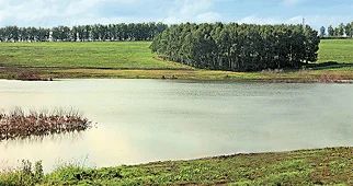Лот: 4382384. Фото: 1. дом. Дома