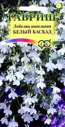 Лот: 11025409. Фото: 1. Лобелия ампельная Белый каскад... Садовые цветы