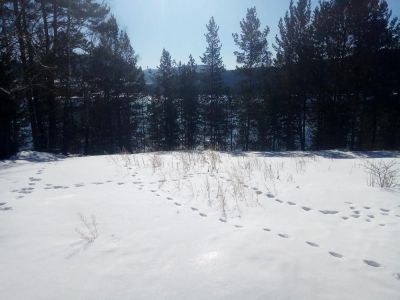 Лот: 11188043. Фото: 1. Продаётся земельный участок, расположенный... Земельные участки