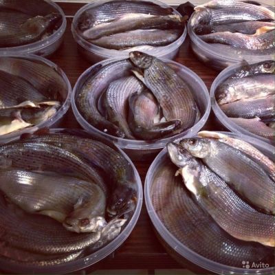 Лот: 10614790. Фото: 1. Хариус малосольный Ангарский крупный. Икра, рыба, морепродукты