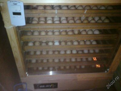 Лот: 1546148. Фото: 1. продам инкубатор на 672 яйца. Промышленное