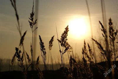 Лот: 1474621. Фото: 1. Sony Alpha DSLR-A200 Kit 18-70... Цифровые зеркальные
