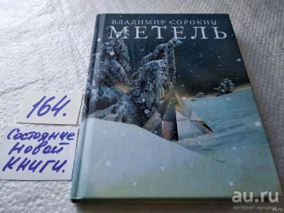 Лот: 18195415. Фото: 1. оз...(16..016) Метель, Сорокин... Художественная