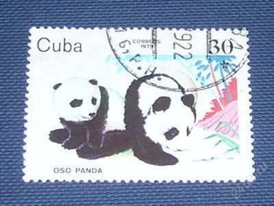 Лот: 3722312. Фото: 1. марка кубы 1979г панда. Марки