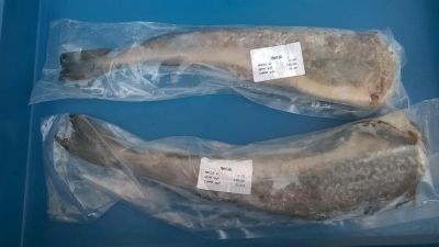 Лот: 8020490. Фото: 1. РЫБА свежемороженая. Икра, рыба, морепродукты