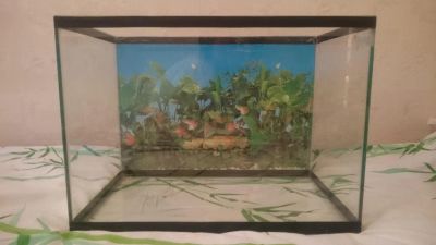 Лот: 7642905. Фото: 1. Аквариум 40 л + грунт + насос... Аквариумы, террариумы