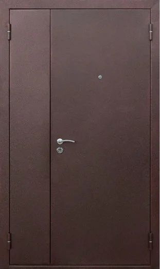 Лот: 17126744. Фото: 1. Входная, двухстворчатая дверь... Двери входные