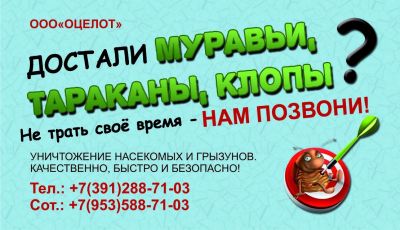 Лот: 6049071. Фото: 1. Обработки от Клопов, Муравьев... Другие (бытовые услуги)
