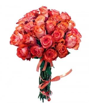 Лот: 3232934. Фото: 1. Букет 25 роз Эквадор. Другое (цветы, букеты)