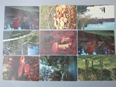 Лот: 1624559. Фото: 1. Подборка 1982 г Пейзажи 9шт (обмен... Календари