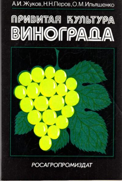 Лот: 23443251. Фото: 1. Привитая культура винограда. Другое (наука и техника)