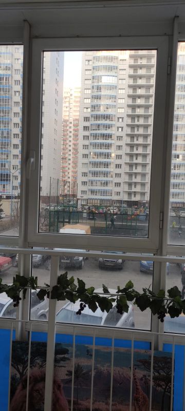 Лот: 10854274. Фото: 1. Сдам 1-комн квартиру Карамзина... Квартиры, студии