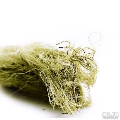 Лот: 17193302. Фото: 1. Усне́я Бородатая (лат. Usnea... Народная медицина, БАДы