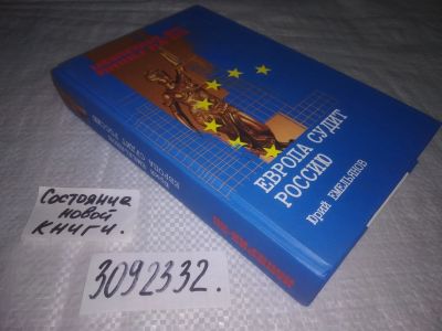 Лот: 23604256. Фото: 1. oz(3092332)Емельянов Ю. В. Европа... Политика