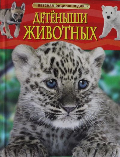 Лот: 6844240. Фото: 1. Детская энциклопедия. Детеныши... Познавательная литература