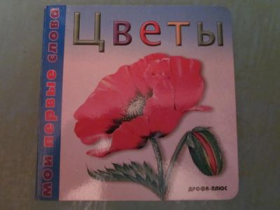 Лот: 4049788. Фото: 1. Книжечка "Цветы". Другое (детям и родителям)