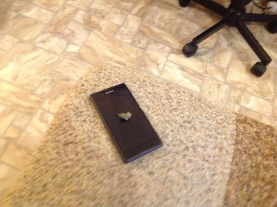 Лот: 6706867. Фото: 1. Sony Xperia e3(не работает дисплей... Смартфоны