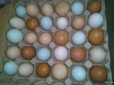 Лот: 10341003. Фото: 1. Яйцо куриное.перепелиное домашние. Мясо, птица, яйцо