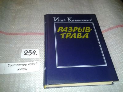 Лот: 7159037. Фото: 1. Разрыв-трава, Исай Калашников... Художественная