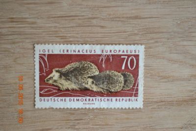 Лот: 5545301. Фото: 1. Марка ГДР 1963г. Ежи. Марки