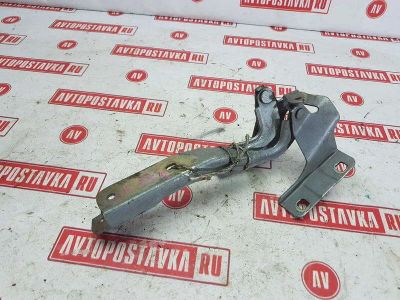 Лот: 20899205. Фото: 1. Петля капота Nissan Ad VAY12 CR12DE... Двигатель и элементы двигателя