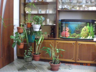 Лот: 3527367. Фото: 1. Подставка под цветы. Вазы