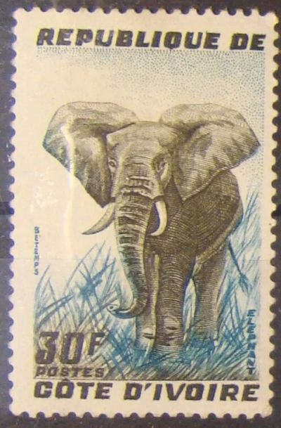 Лот: 10448968. Фото: 1. Берег Слоновой Кости 1959 MNH... Марки